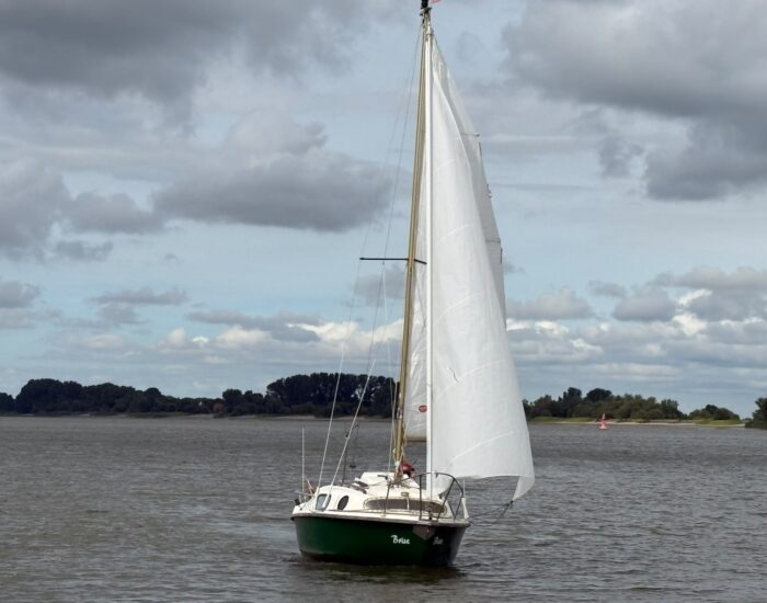 IMG-20260821-WA0009 (1)